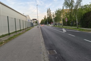 Golikova, radovi, Voltino (5)